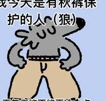 你们猜路儿还能蹦哒多长时间