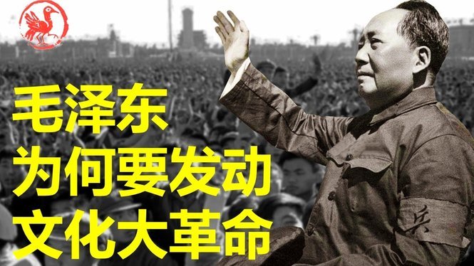 波特：受伤与成就的足坛传奇