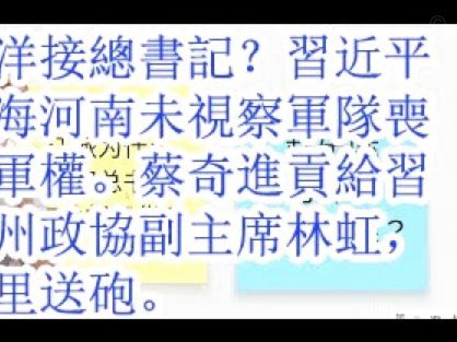 谢晋留洋：自费深造是明智？